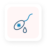 Inseminación Artificial (IAD)