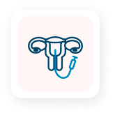 sense-interessos-400×462